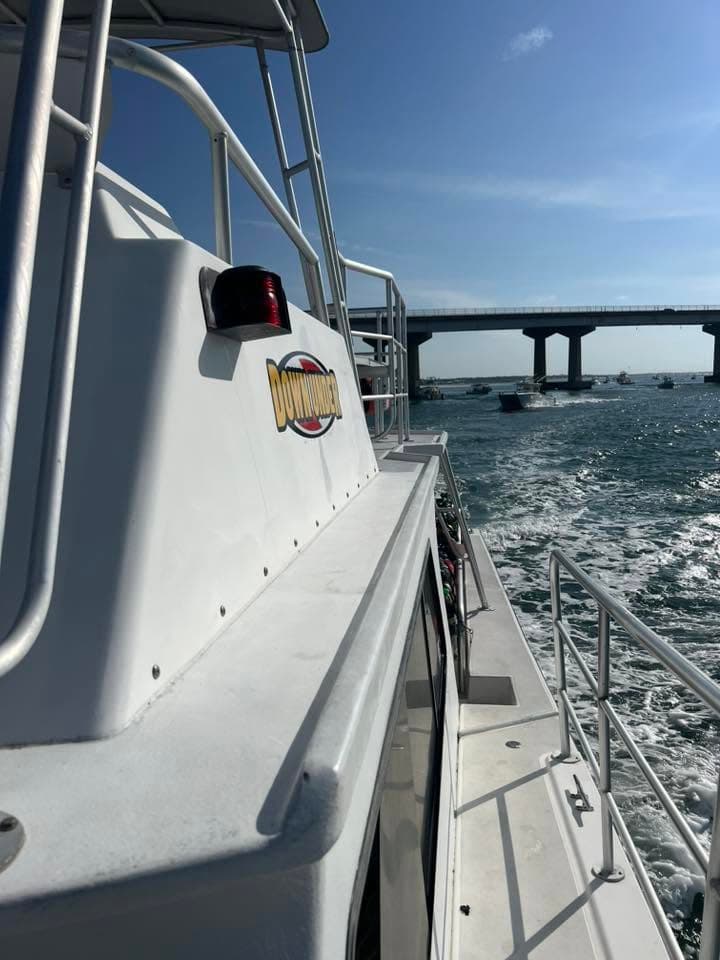 Cruising the Gulf